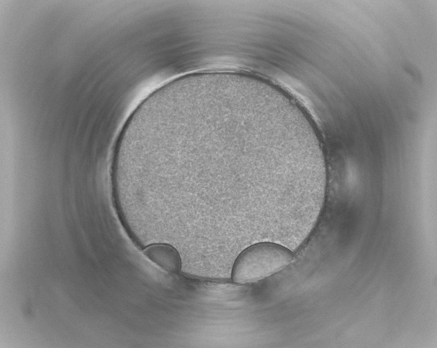 X0000115271475200911271936