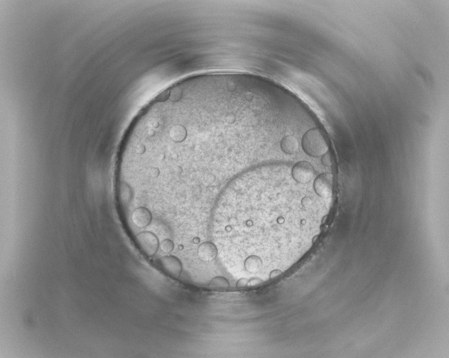 X0000115271477200911271936