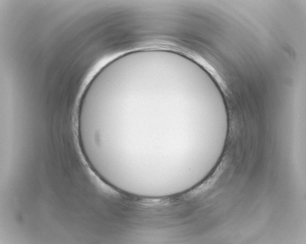 X0000115271478200911271936