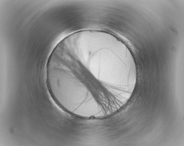 X0000115271479200911271936