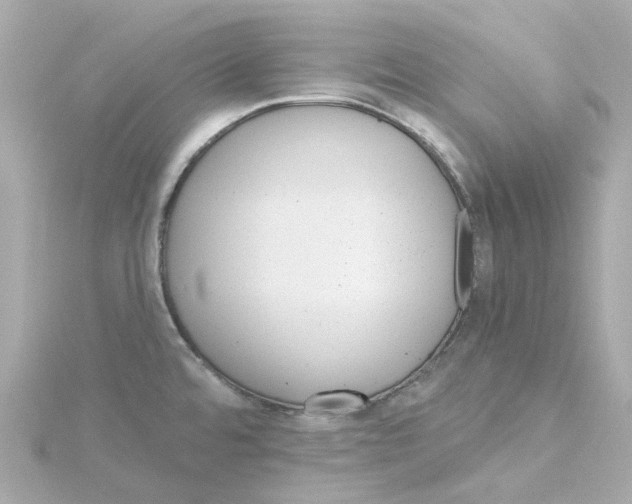 X0000115271480200911271936