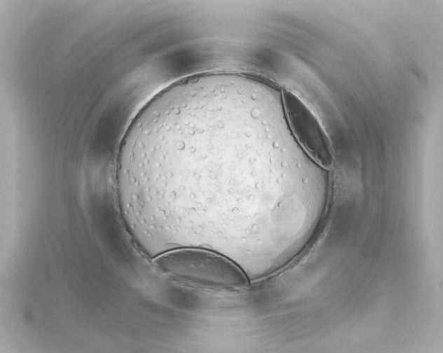 X0000115271481200911271936