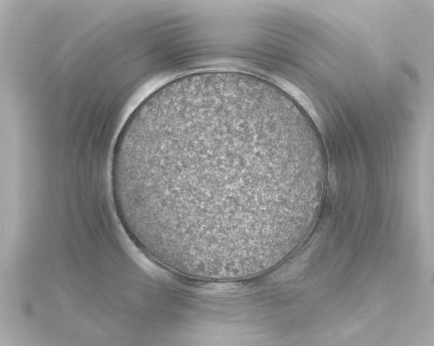 X0000115271482200911271936