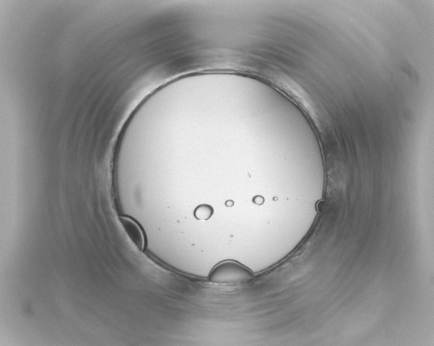 X0000115271483200911271936