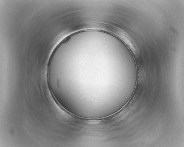 X0000115271484200911271936