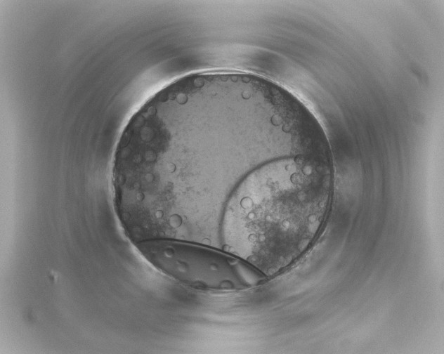 X0000115271485200911271936