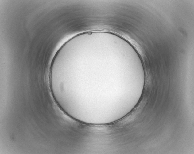 X0000115271486200911271936