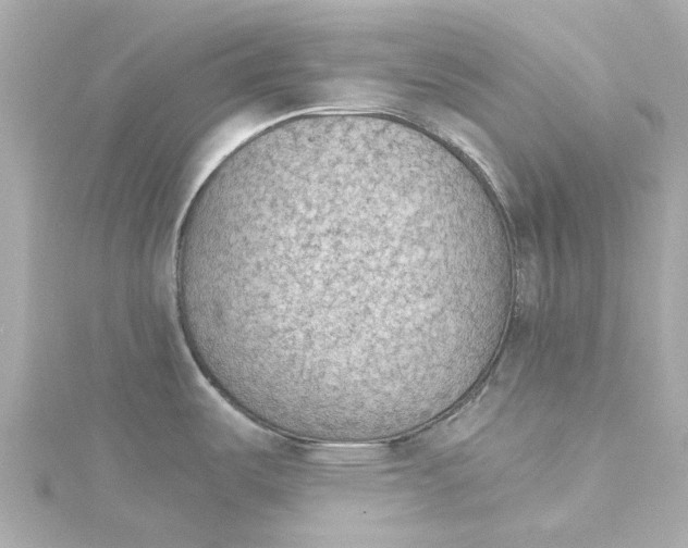 X0000115271487200911271936