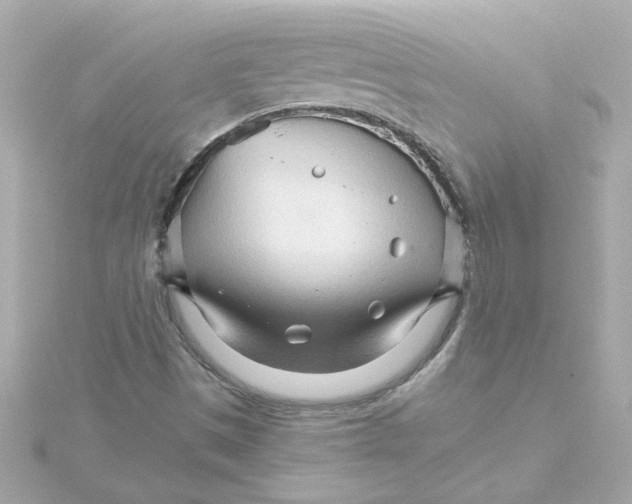 X0000115271497200911271935