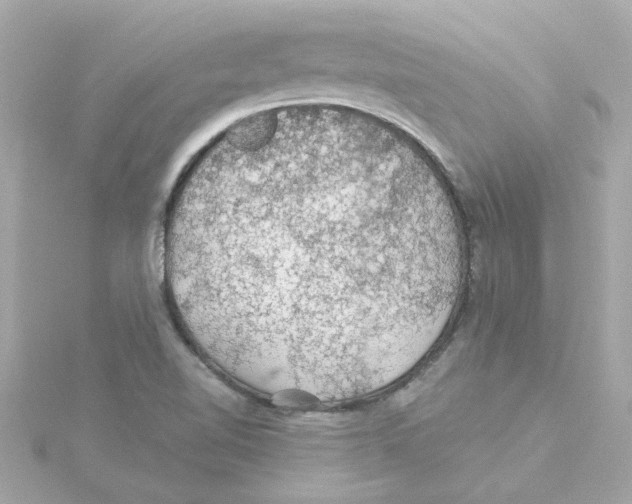 X0000115271510200911271935