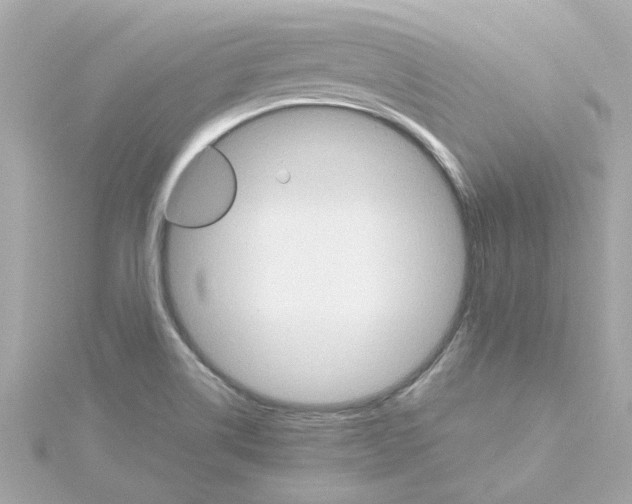 X0000115271514200911271935