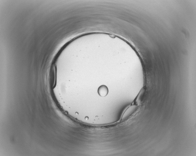 X0000115271515200911271935