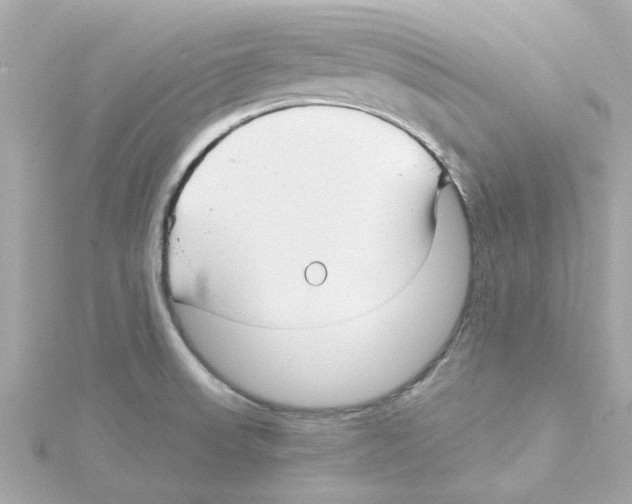 X0000115271523200911271935