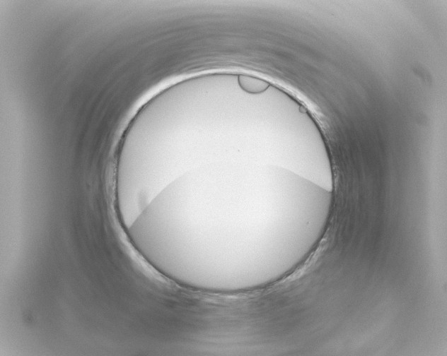 X0000115271526200911271935