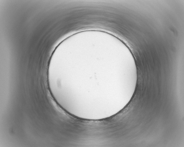 X0000115271534200911271935