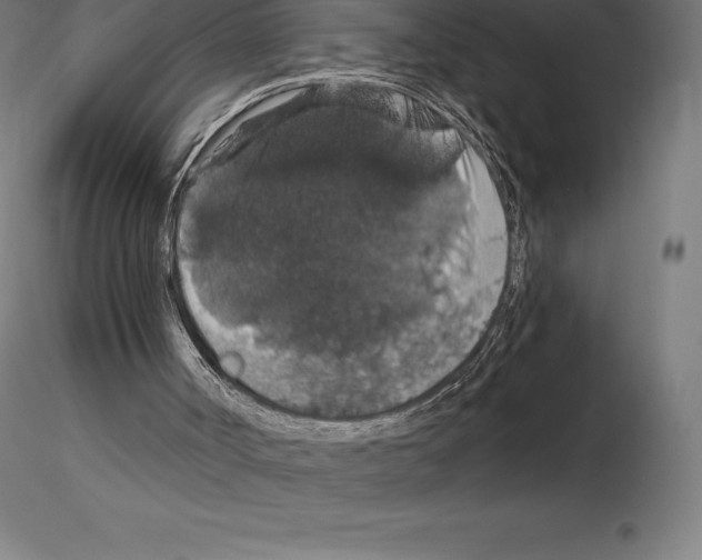 X0000115270002200912111213