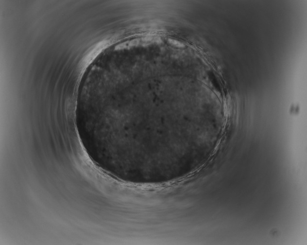 X0000115270003200912111213