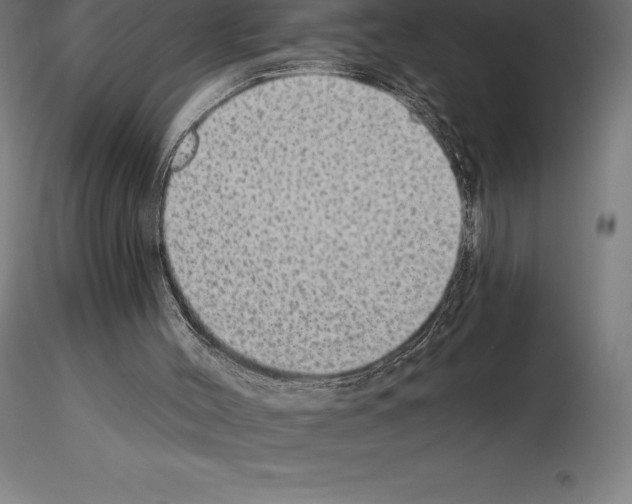 X0000115270004200912111213