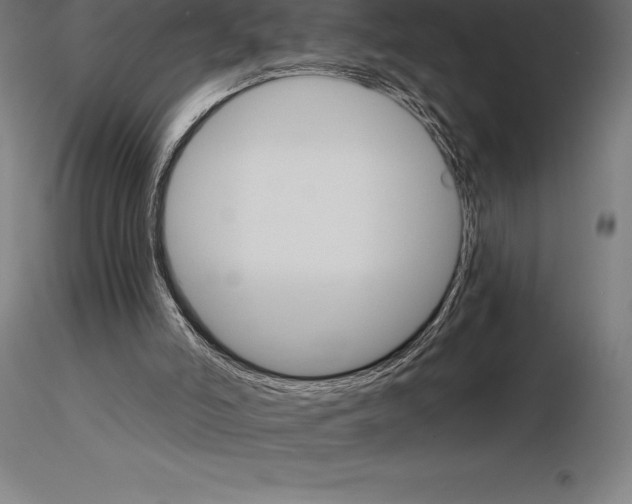 X0000115270006200912111213