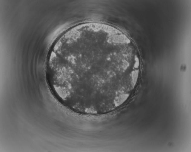 X0000115270007200912111213