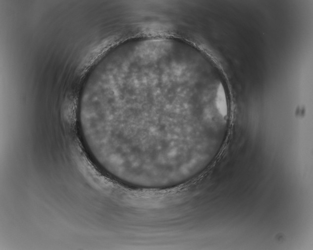 X0000115270009200912111213