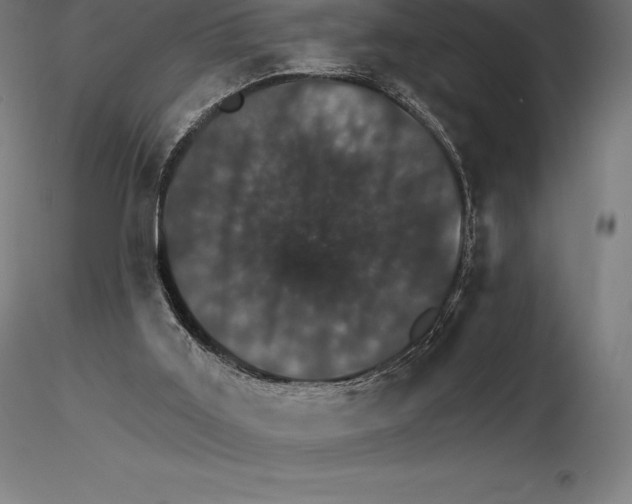 X0000115270011200912111213