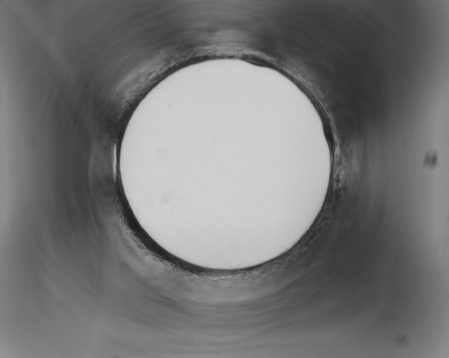 X0000115270013200912111213