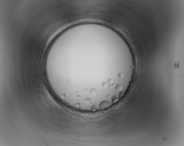 X0000115270016200912111213