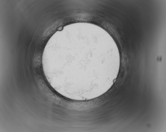 X0000115270017200912111213