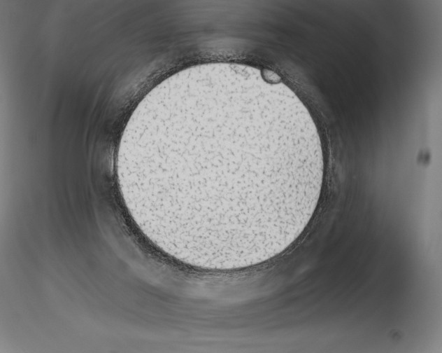 X0000115270021200912111213