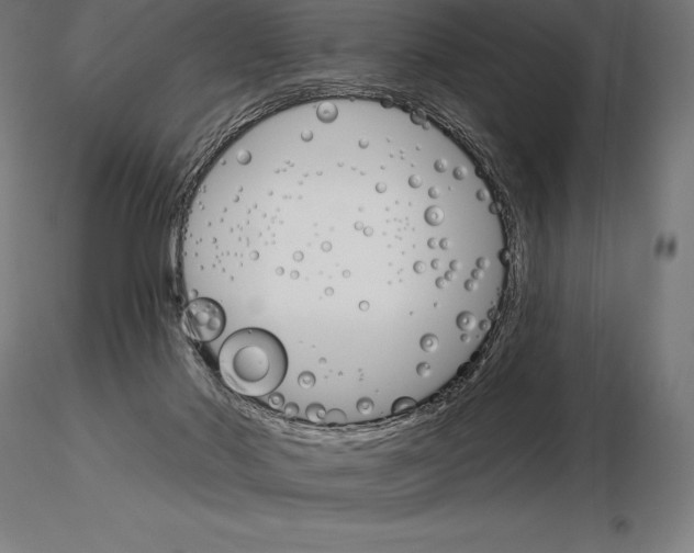 X0000115270022200912111213