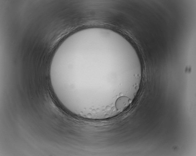 X0000115270024200912111213