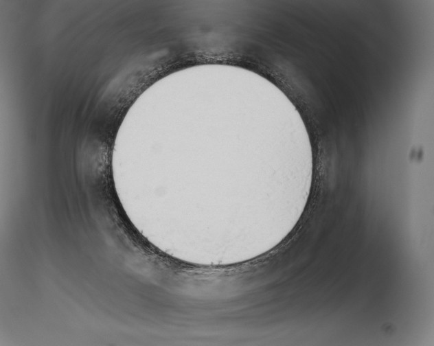 X0000115270025200912111213