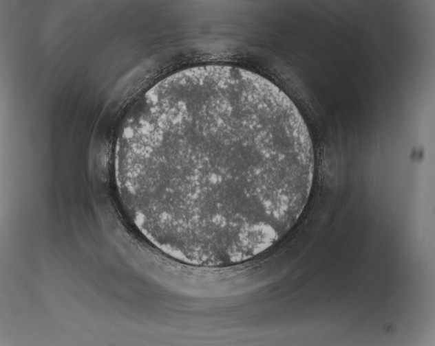 X0000115270026200912111213