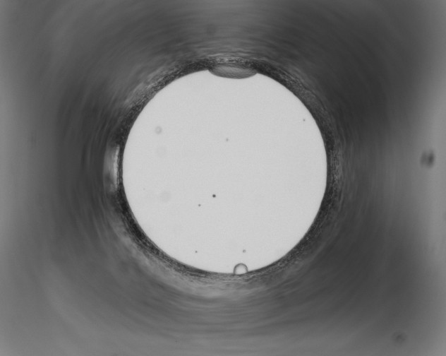 X0000115270028200912111213