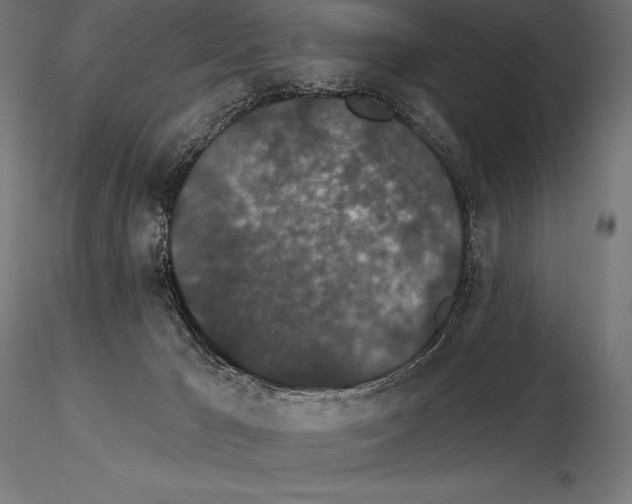 X0000115270029200912111213