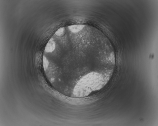 X0000115270030200912111213