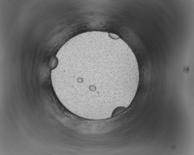 X0000115270033200912111213