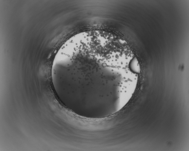 X0000115270035200912111213