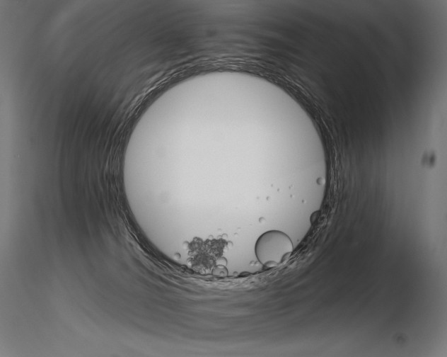 X0000115270036200912111213