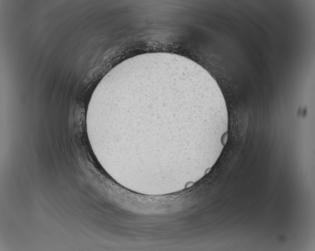 X0000115270038200912111213