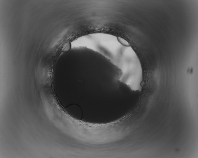 X0000115270039200912111213