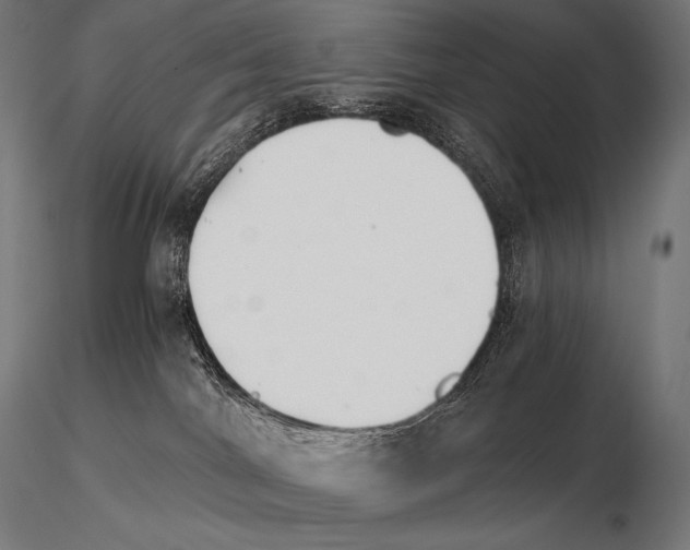 X0000115270044200912111213