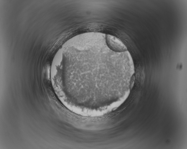 X0000115270046200912111213