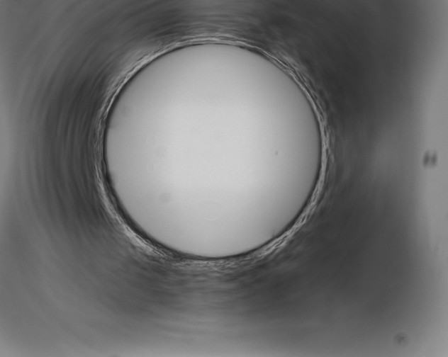 X0000115270049200912111212