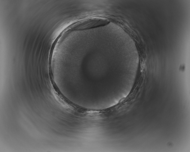 X0000115270052200912111212