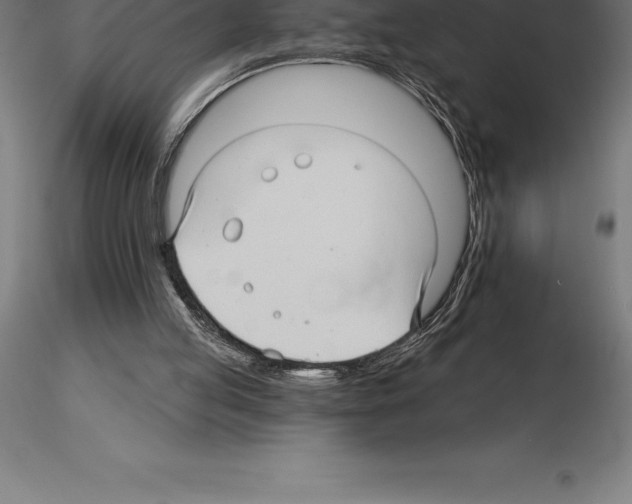 X0000115270053200912111212