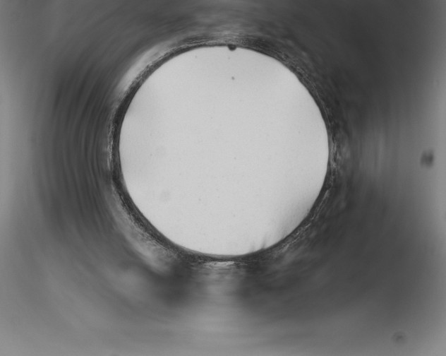 X0000115270054200912111212