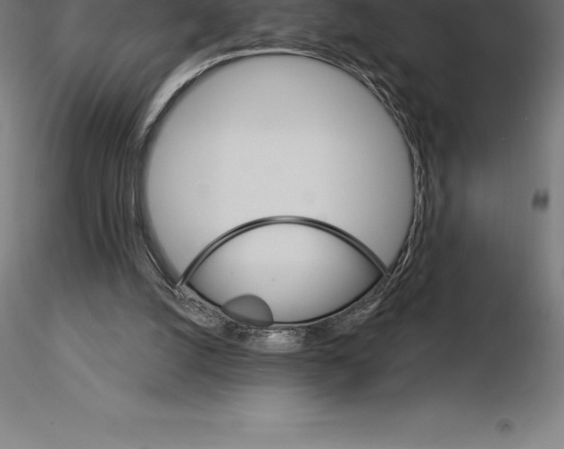 X0000115270056200912111212