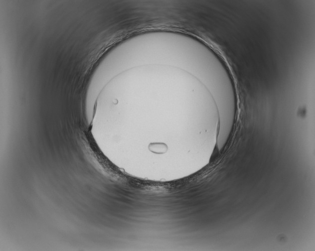 X0000115270061200912111212